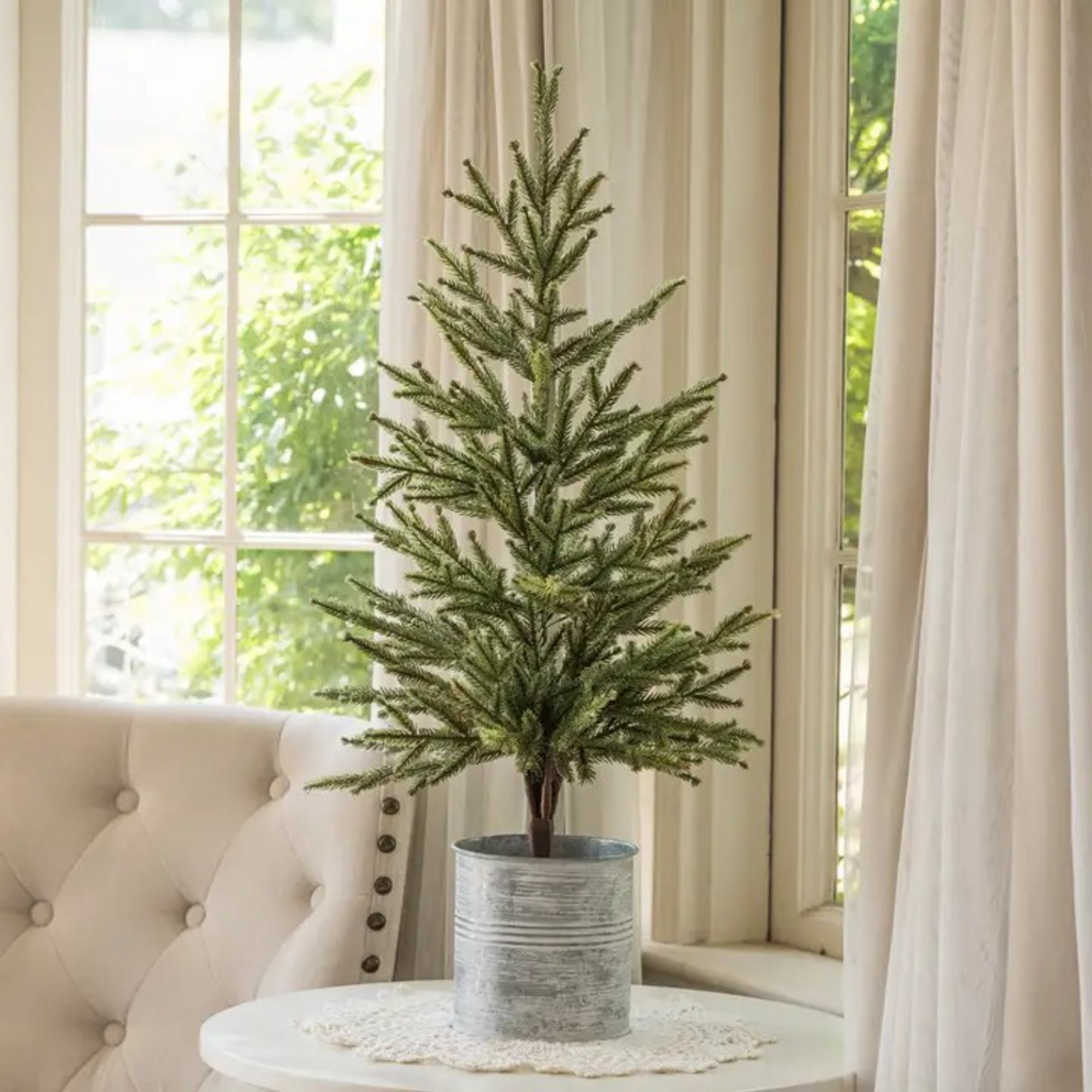 30" single needle pine tree