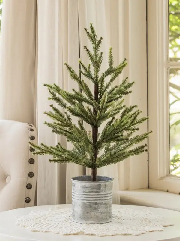 18" single needle pine tree