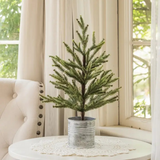 18" single needle pine tree