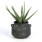 dark round terracotta vase with handles