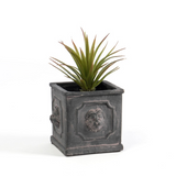 small square planter with lion detail market
