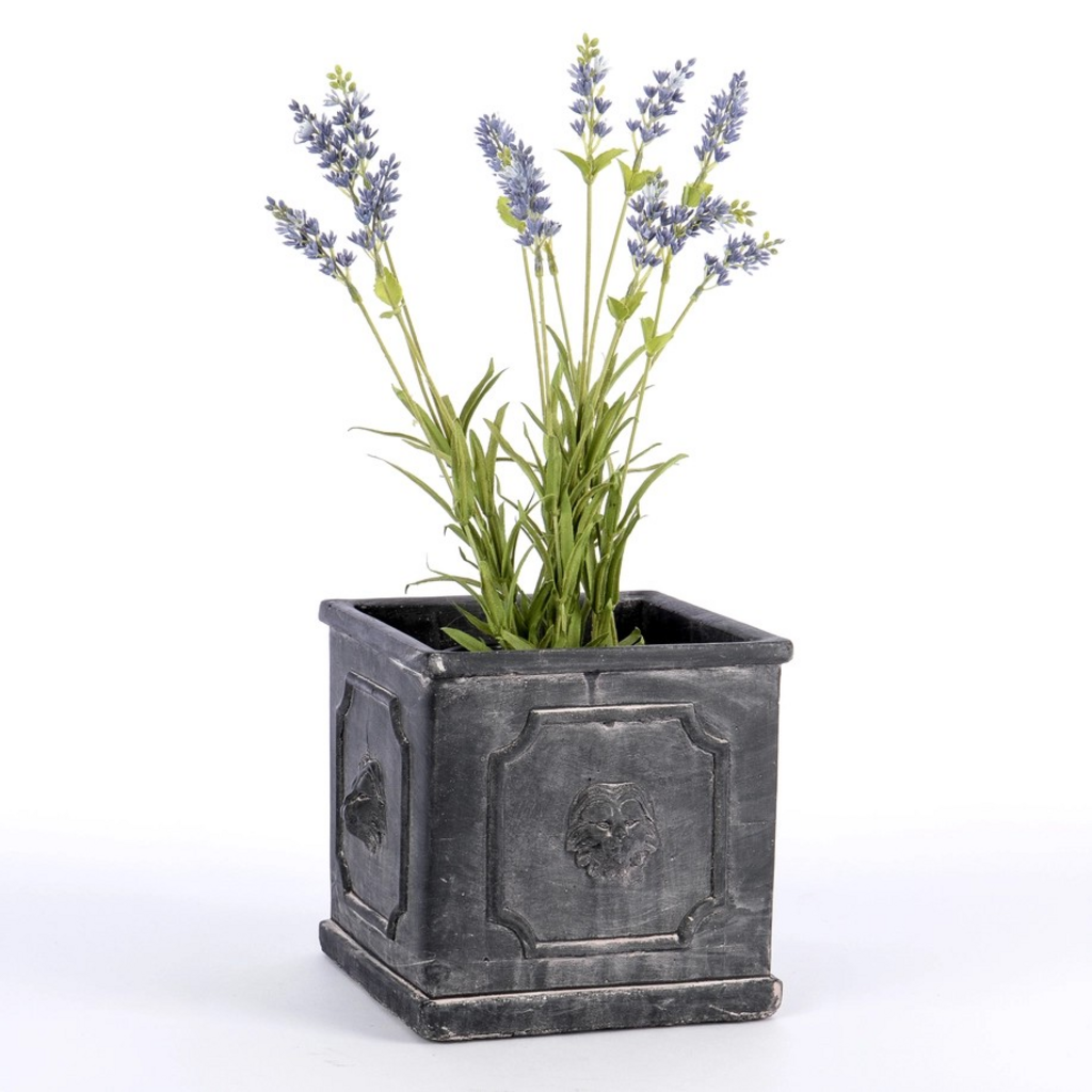 square cement planter with lion detail