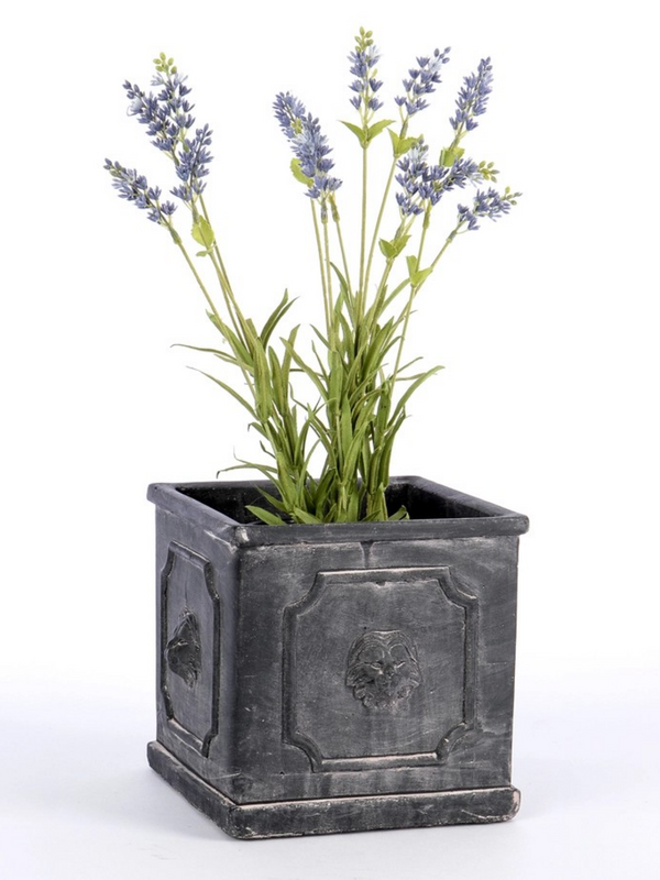 square cement planter with lion detail