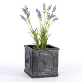 square cement planter with lion detail