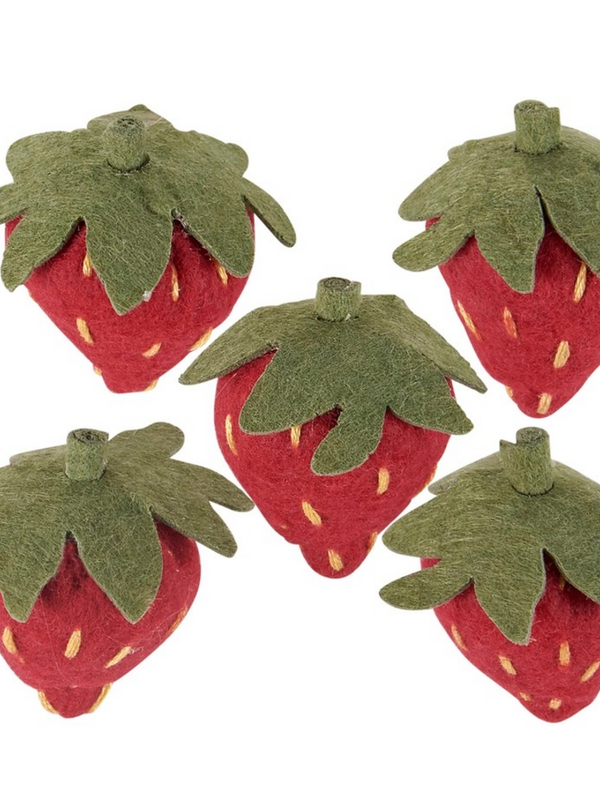 Strawberry Magnet Set
