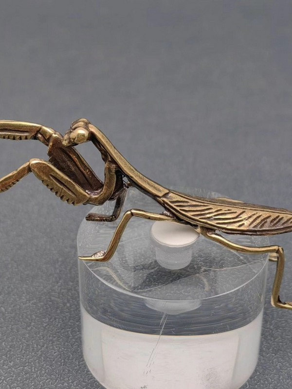 brass mantis surface decor