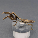 brass mantis surface decor
