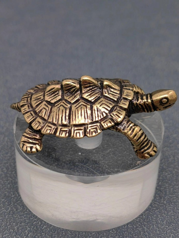 brass money turtle surface decor