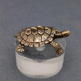 brass money turtle surface decor