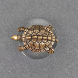 brass money turtle surface decor