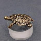 brass money turtle surface decor
