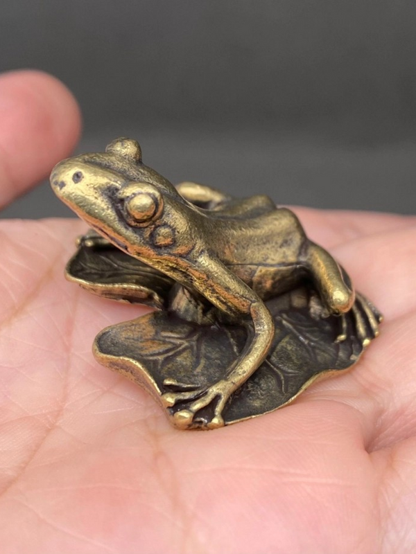 frog on lotus leaf surface decor