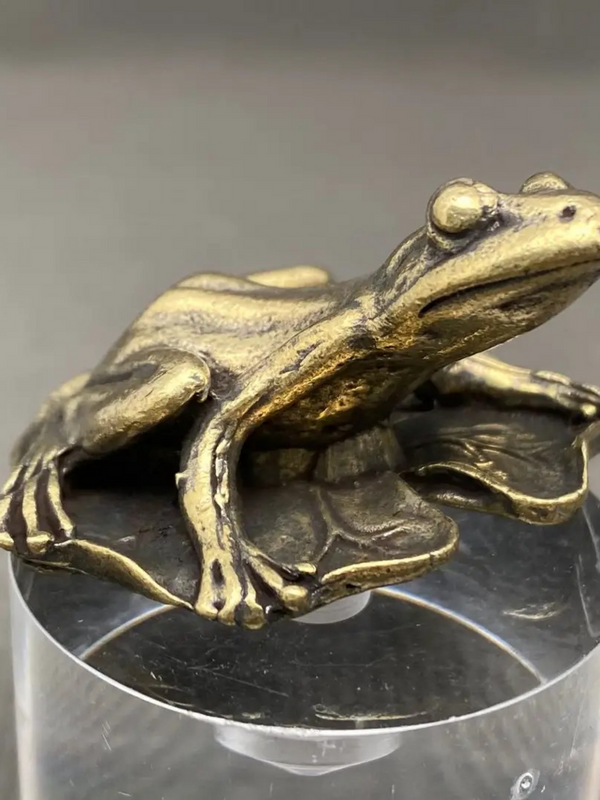 frog on lotus leaf surface decor
