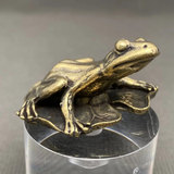 frog on lotus leaf surface decor