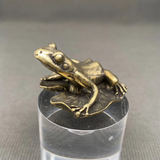 frog on lotus leaf surface decor