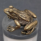 vintage brass frog surface decor