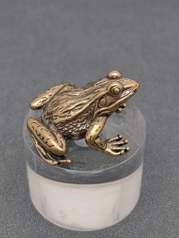 vintage brass frog surface decor