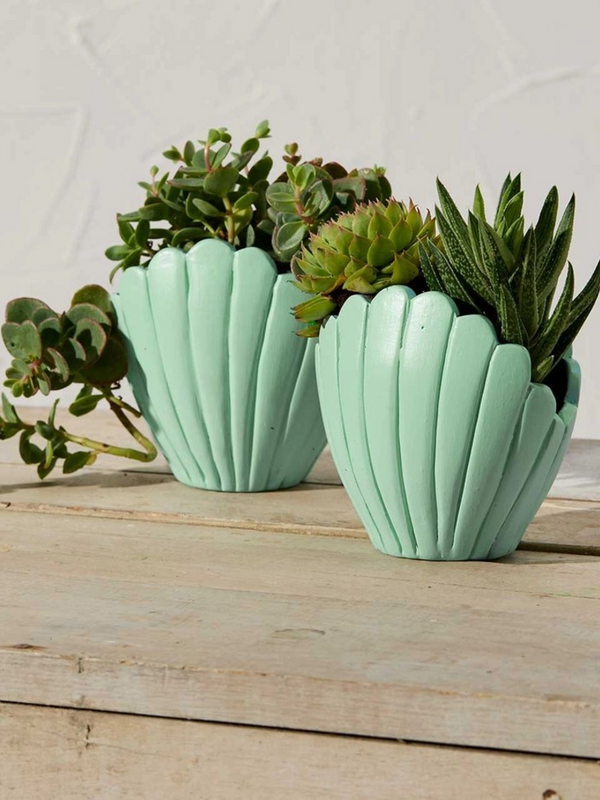 small seashell planter