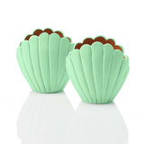 small seashell planter