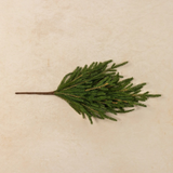 18" soft touch Norfolk pine pick