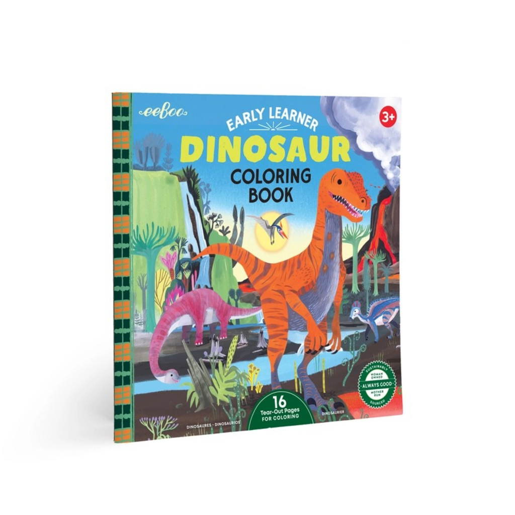 Dinosaur Square Coloring Book