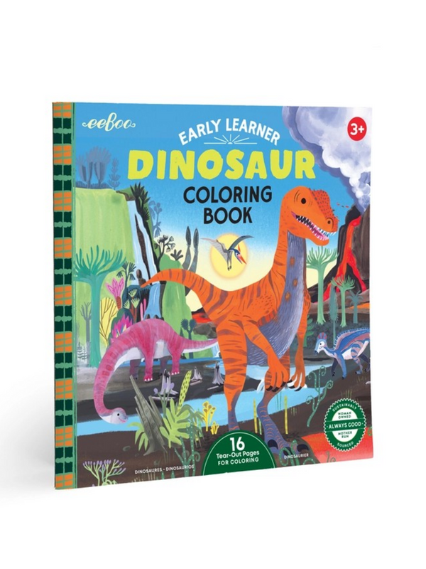 Dinosaur Square Coloring Book