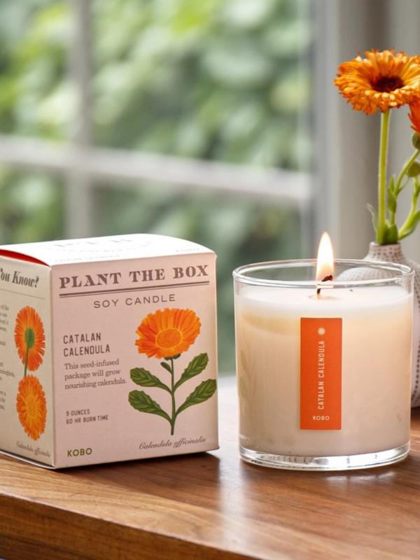 Catalan Calendula - Plant the Box Candle - 9oz.