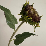 28" Faux Sunflower Stem
