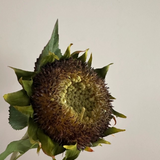 28" Faux Sunflower Stem
