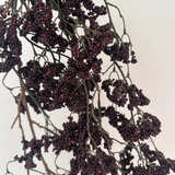 55" Mini Deep Burgundy/Purple Faux Berry Hanging Branch