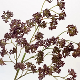 Faux Soft Sedum Spray - 16"