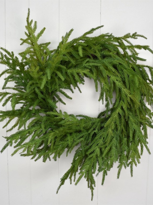24" natural touch norfolk pine wreath