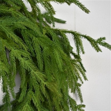 24" natural touch norfolk pine wreath