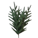 14" fresh touch norfolk pine pick