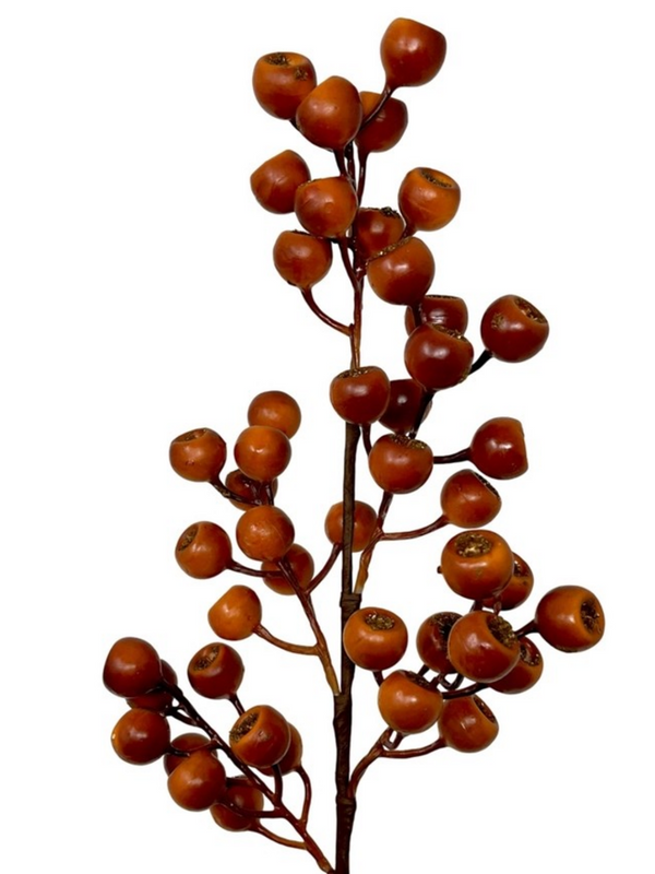 24" grand pod berry spray in orange