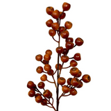24" grand pod berry spray in orange