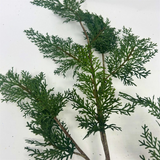 39.5" green real touch eastern red cedar spray