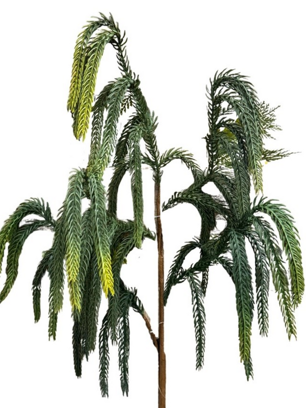 36" real touch Norfolk pine spray