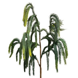 36" real touch Norfolk pine spray