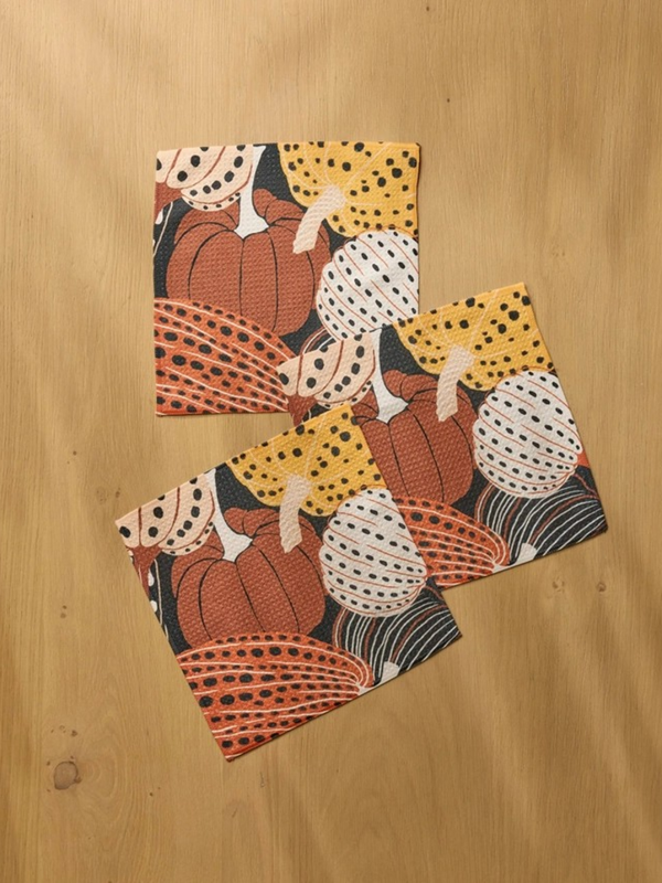 Painted Patch Dish cloth set