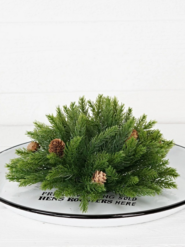 11" half sphere evergreen spruce with birchcone