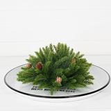11" half sphere evergreen spruce with birchcone