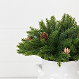 11" half sphere evergreen spruce with birchcone