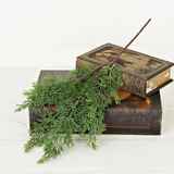 20" evergreen juniper spray