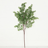 20" evergreen juniper spray