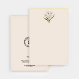 Massachusetts mayflower notepad