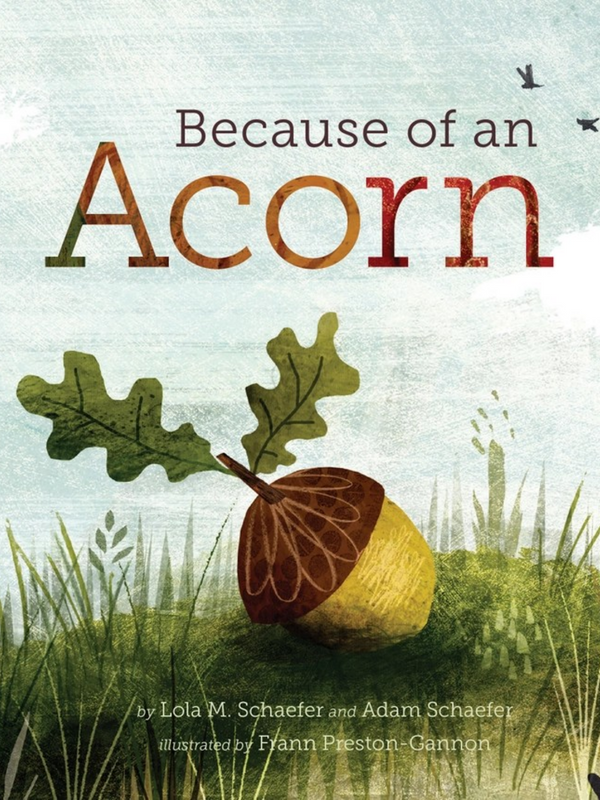 Because of An Acorn