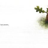 Because of An Acorn