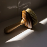Dish Soap Scrub Brush