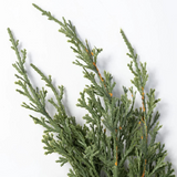 31" soft touch cypress spray